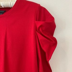Club Monaco Puffy Sleeve Top